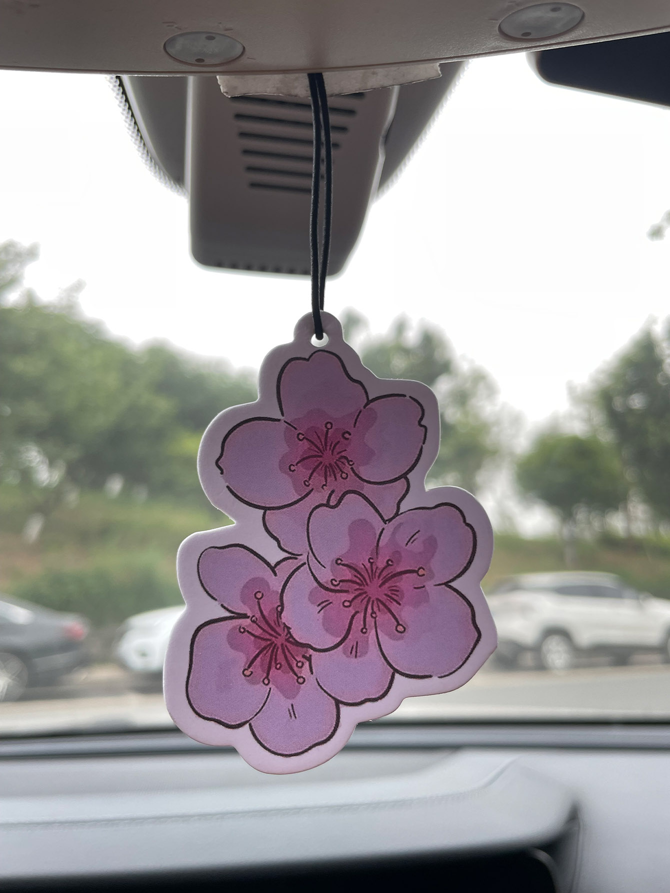 Perfume para Auto de Cinco Est - Perfume Home Fragrance reseña y precio