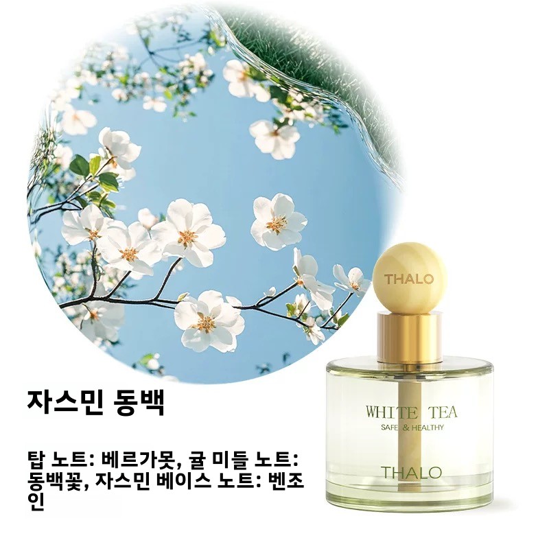 Ambientador para Auto, Difusor - Fragrance Perfume Car reseña y precio
