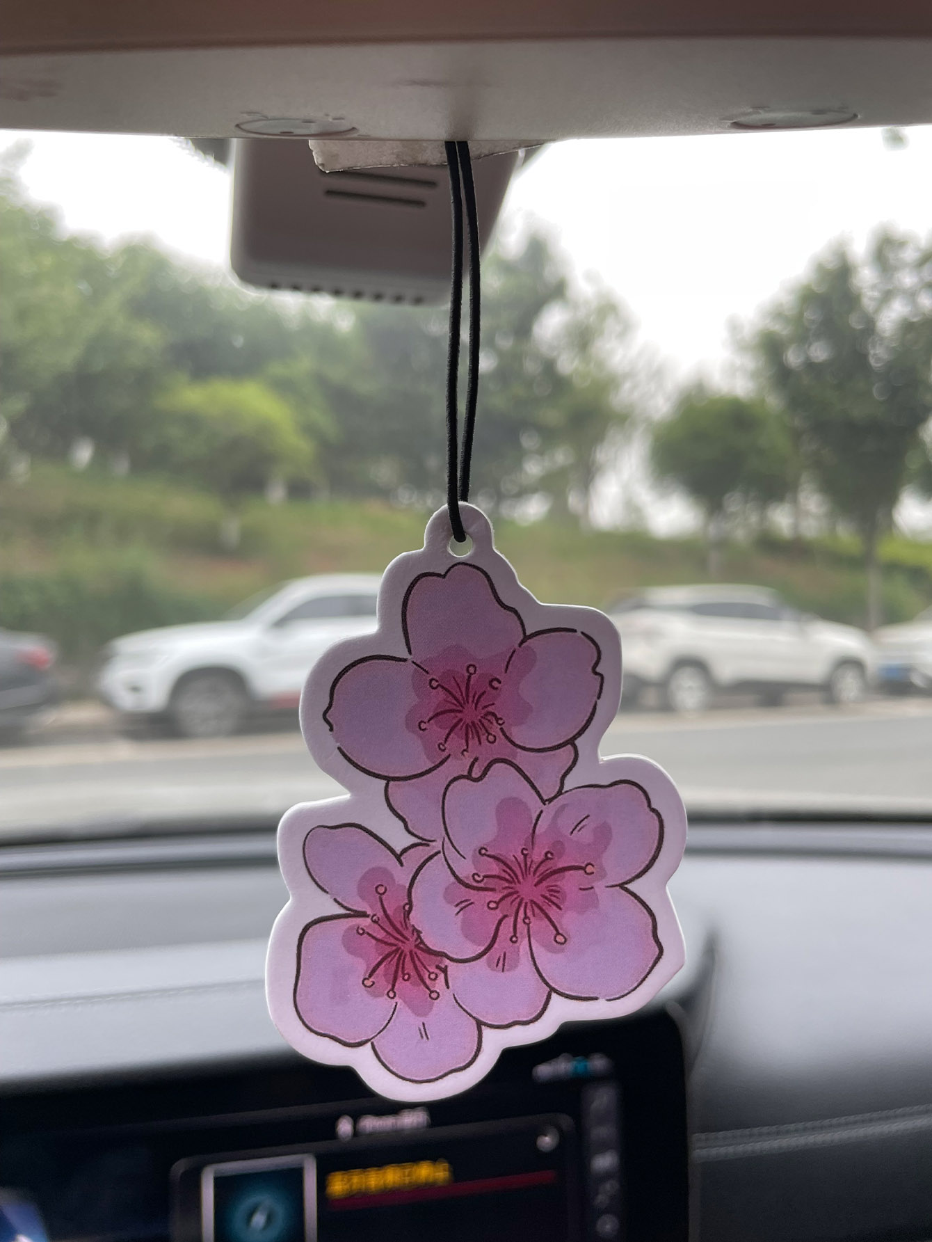 Perfume para Auto de Cinco Est - Perfume Home Fragrance reseña y precio